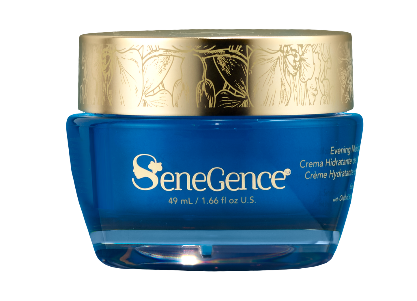 Evening Moisturizer - Dry