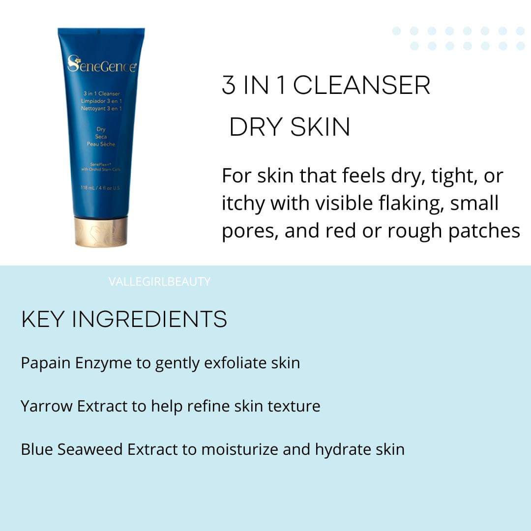 3 in 1 Cleanser - Dry