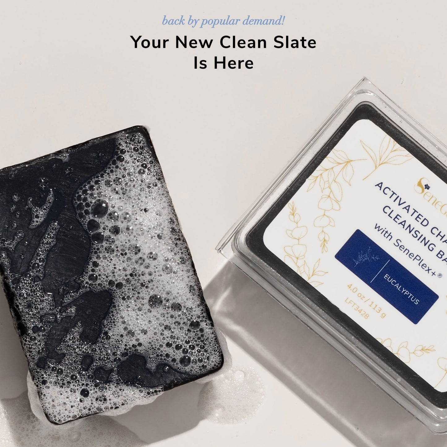 Activated Charcoal Cleansing Bar