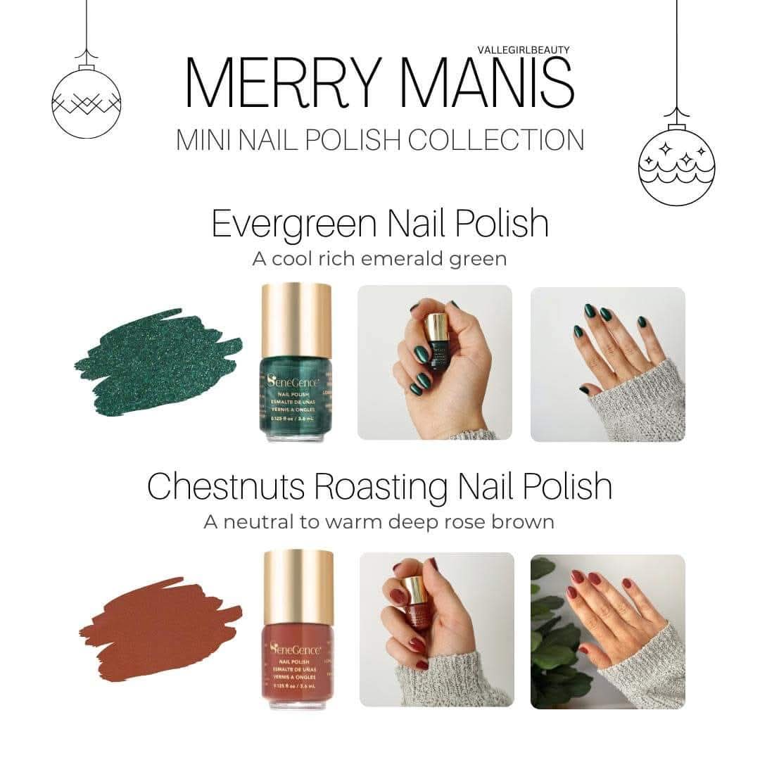 Mini Nail Polish Collection
