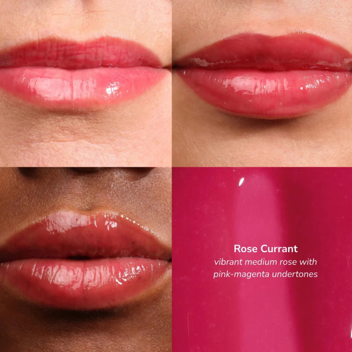 Blushed Rose Collection