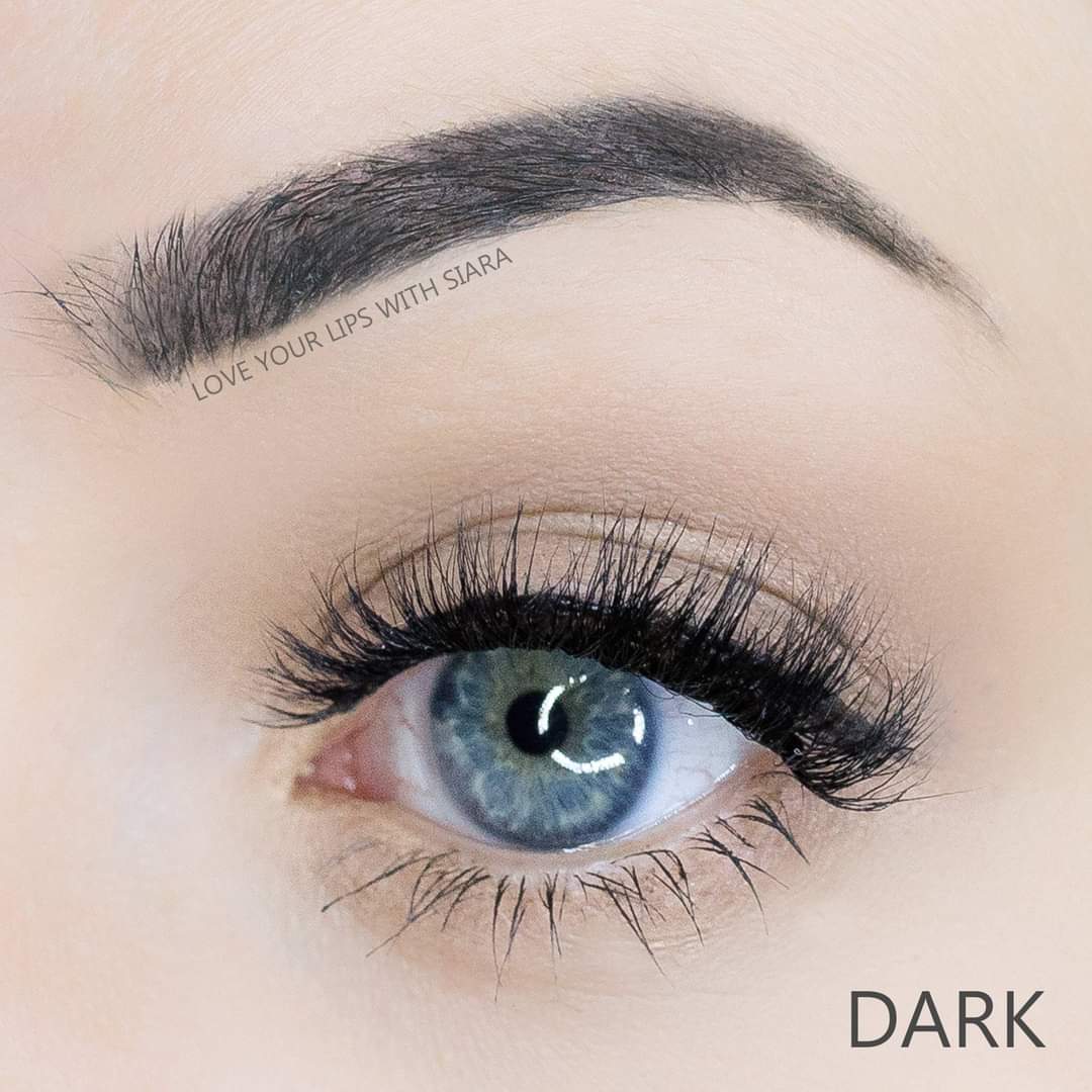 BrowSense Liquid Brow Color