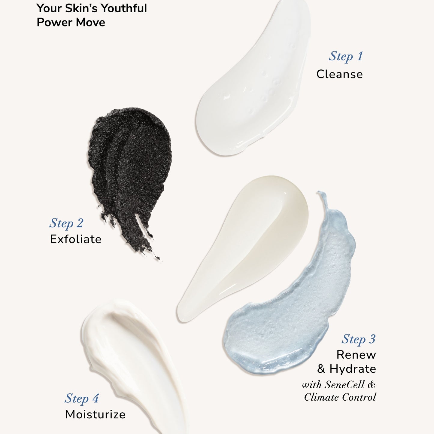 SeneCell SenePlex+ StemCell Concentrate